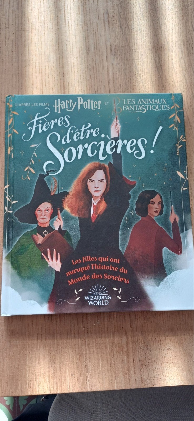 harry potter, Livres, Enlèvement, Neuf