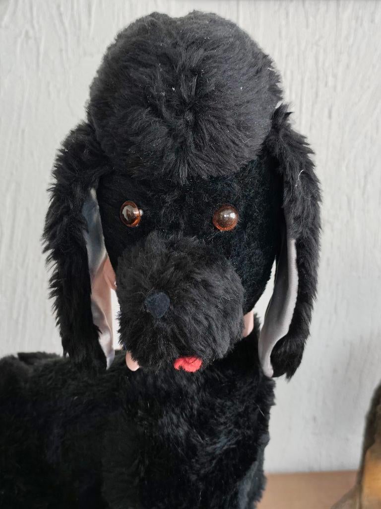 Caniche noir (44 cm), yeux bruns, Enlèvement ou Envoi, Comme neuf, Chien ou Chat, Statue ou Figurine