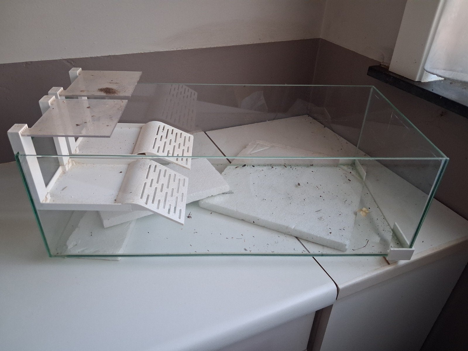 Schildpadden bak, Dieren en Toebehoren, Ophalen, Gebruikt, Terrarium of Paludarium