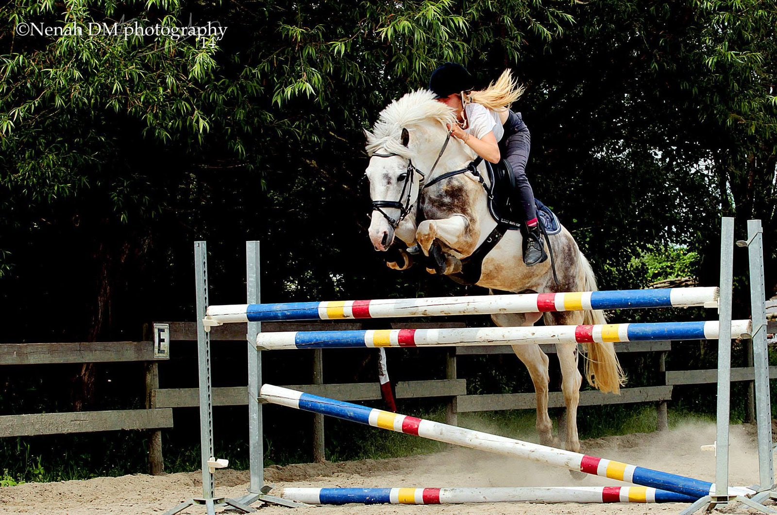 Bijrijdpaard - paard in trainig gezocht - ervaren ruiter, Animaux & Accessoires, Chevaux
