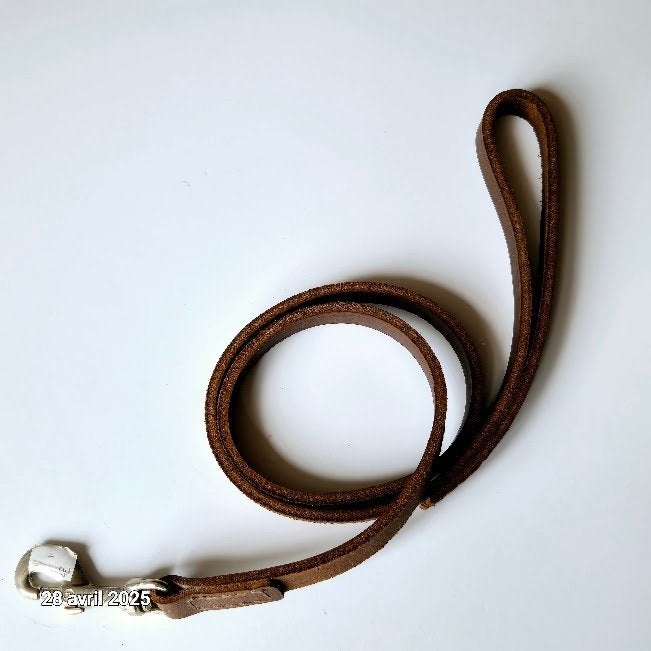 Laisse pour chien en cuir épais de qualité premium, France, Envoi, Neuf, Laisse pour chien