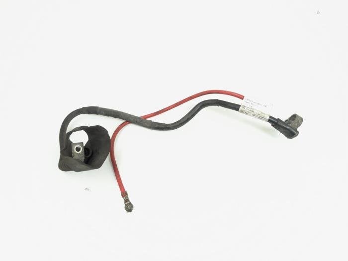 Borne de batterie d'un Volkswagen Passat, Volkswagen, -, 3 mois de garantie, Utilisé