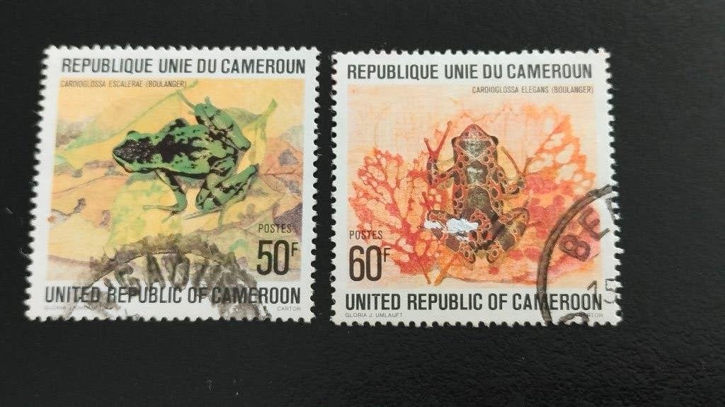 Cameroun 1978 - grenouilles - amphibiens, Envoi, Autres pays, Affranchi