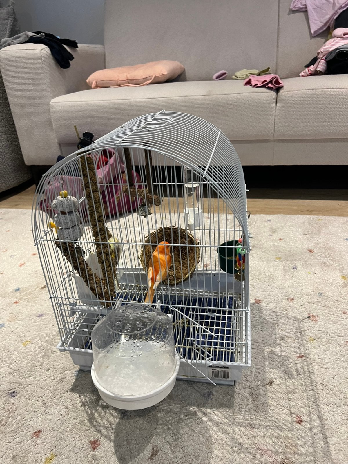 Vogelkooi met een koppel kanaries  te koop, Ophalen, Zo goed als nieuw, Vogelkooi
