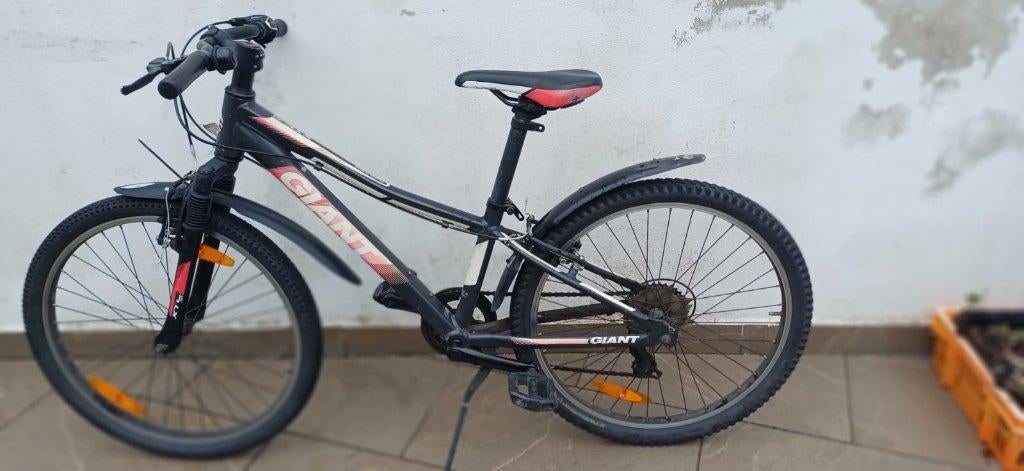 kinderen fiets Giant, Ophalen, Versnellingen, Giant, Schijfrem