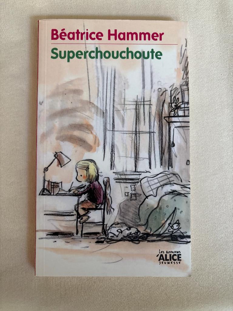 Superchouchoute, Livres, Livres pour enfants | Jeunesse | 13 ans et plus, Utilisé, Fiction, Enlèvement ou Envoi