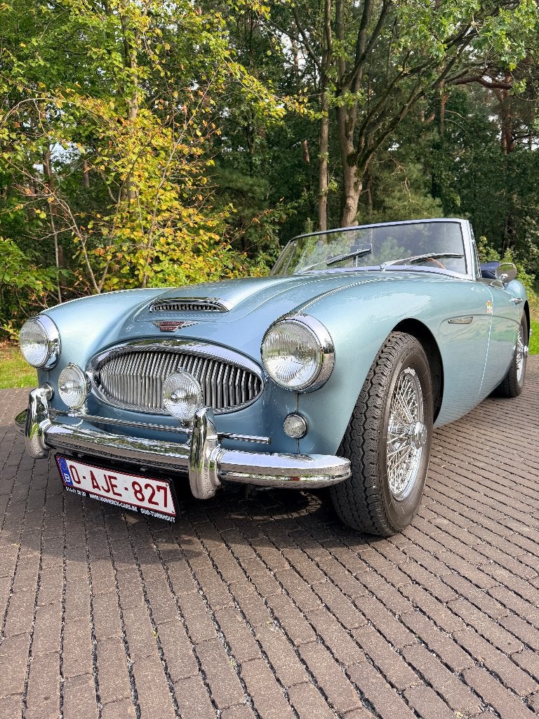 Austin-Healey 3000 MKII A BJ7 -1963 - Overdrive, Autos, Cuir, 2 portes, Particulier, 98 kW