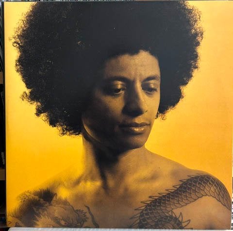 JOSE JAMES - NO BEGINNING NO END 2LP, CD & DVD, Vinyles | Jazz & Blues, 12 pouces, 1980 à nos jours, Enlèvement ou Envoi, Comme neuf