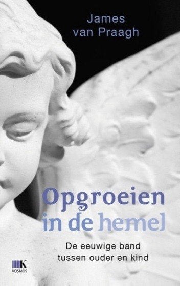 Opgroeien In De Hemel, James van Praagh, Boeken, Esoterie en Spiritualiteit, Zo goed als nieuw, Ophalen of Verzenden