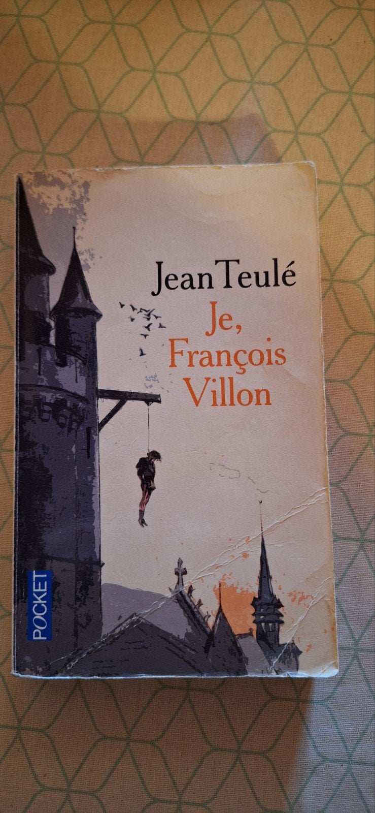 9782266166539, Enlèvement