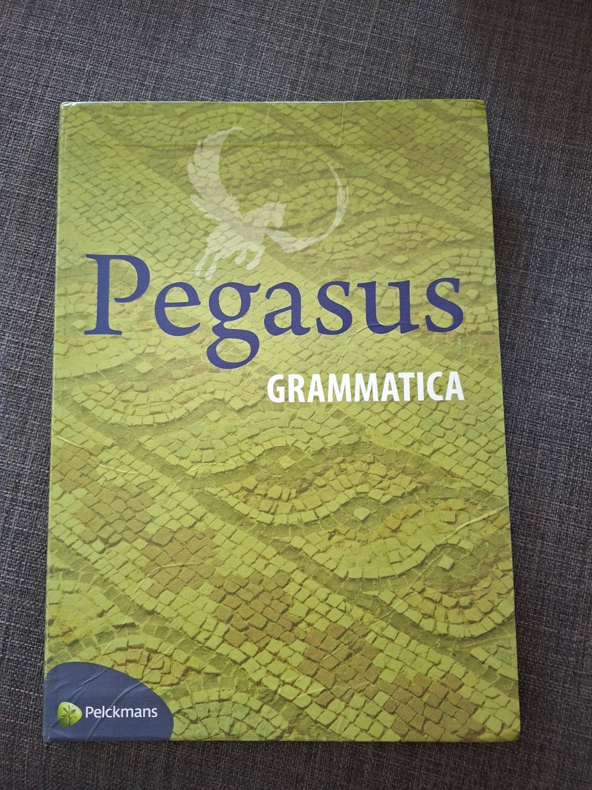 Schoolboek Latijn Pegasus grammatica, Livres, Livres scolaires, Enlèvement ou Envoi, Comme neuf, Latin