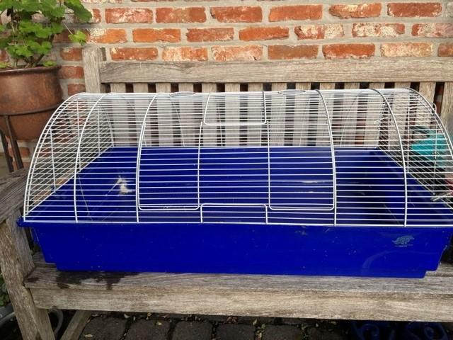 konijnen of cavia kooi, Dieren en Toebehoren, Ophalen, Kooi, Gebruikt, Hamster
