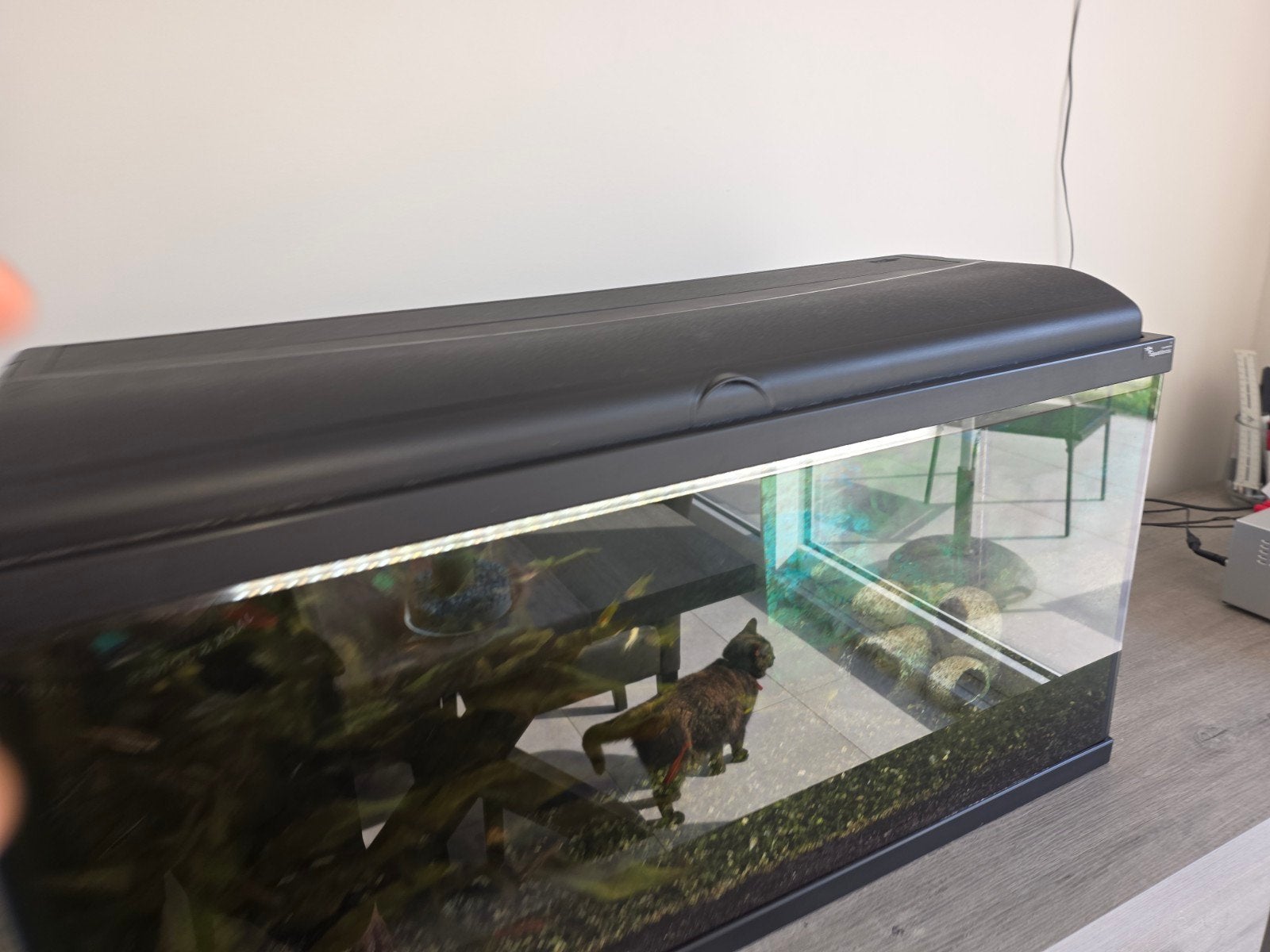 Aquarium te koop, Enlèvement