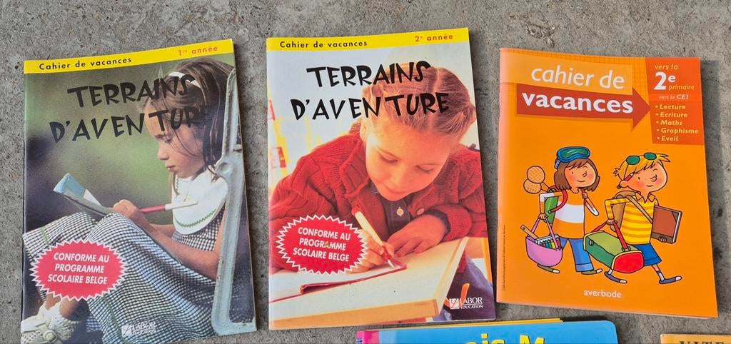 Cahiers de vacances, Enlèvement ou Envoi