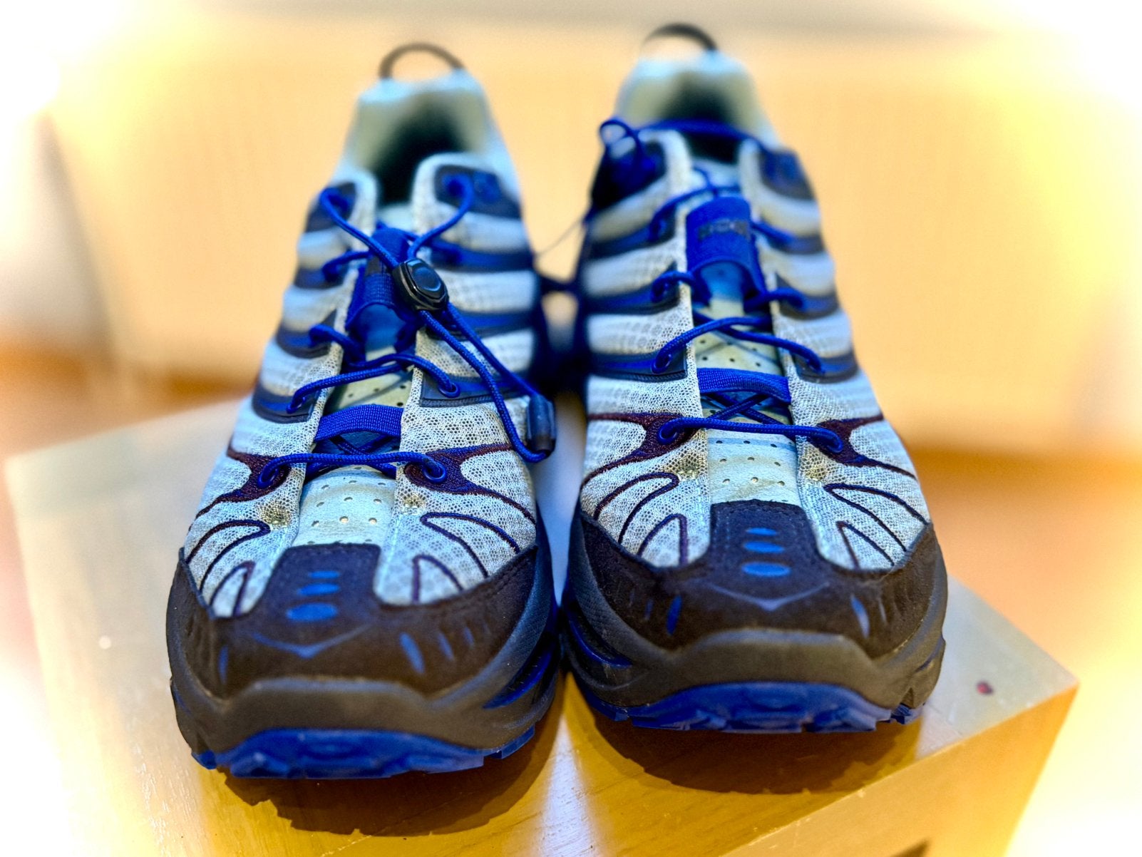 Nouveau Hoka Stinson Evo, Enlèvement ou Envoi, Neuf, Chaussures