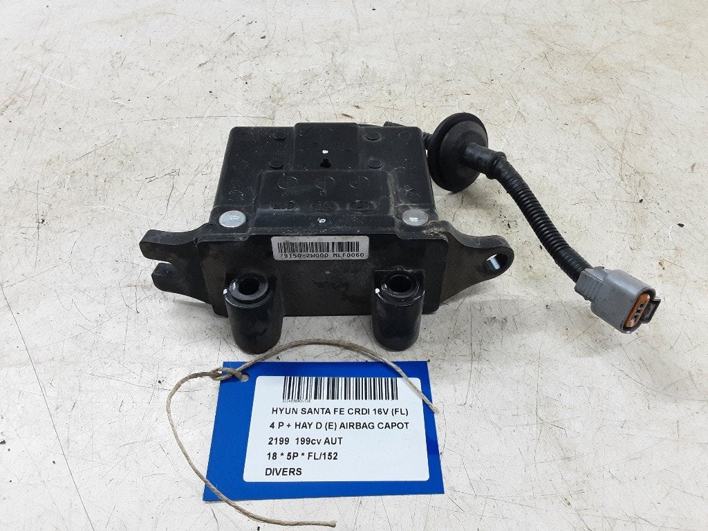 DIVERS DIVERS Hyundai Santa Fe III (DM) (791502W000), Utilisé, Hyundai