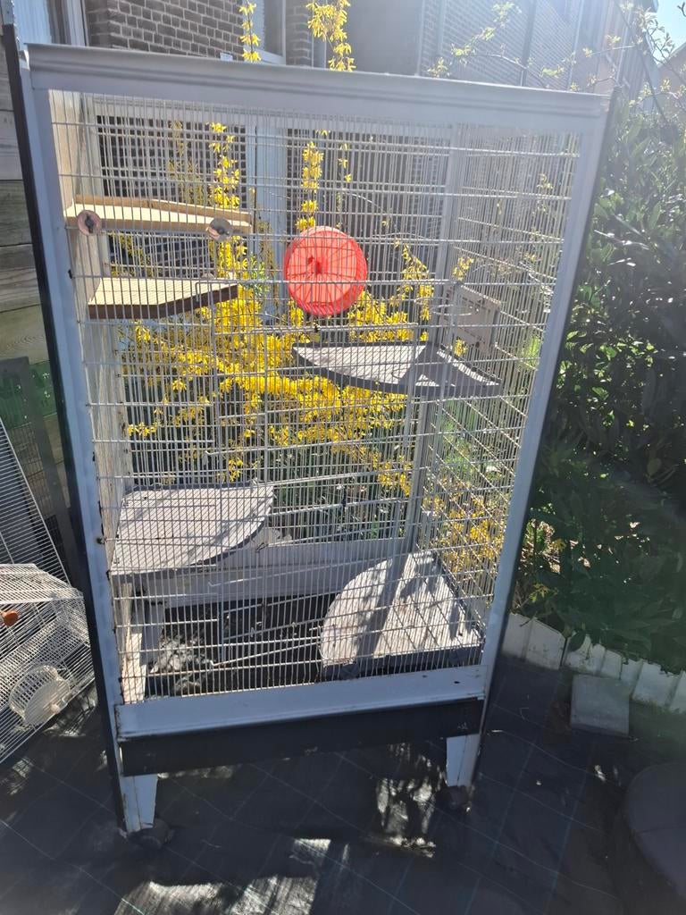 Dierenhok, Dieren en Toebehoren, Ophalen