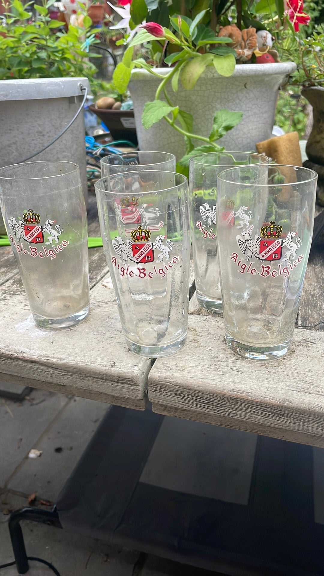 Set van 6 bierglazen Aigle-Belgica, Collections, Enlèvement ou Envoi, Comme neuf