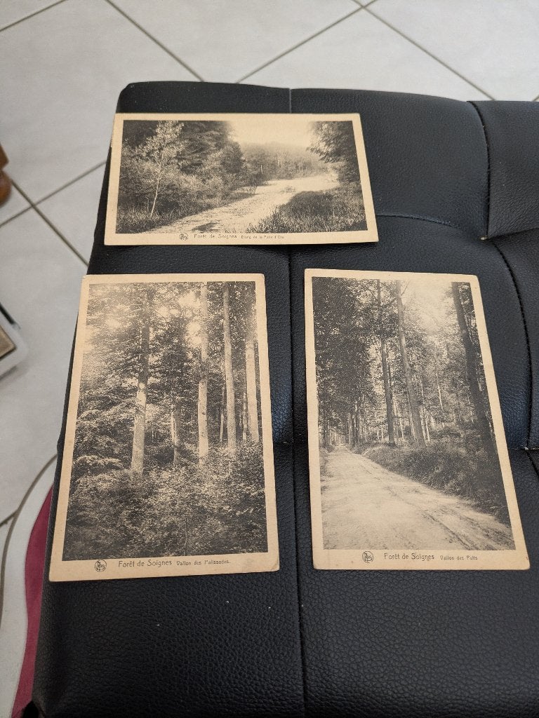 Foret de Soignes, Enlèvement ou Envoi, Non affranchie
