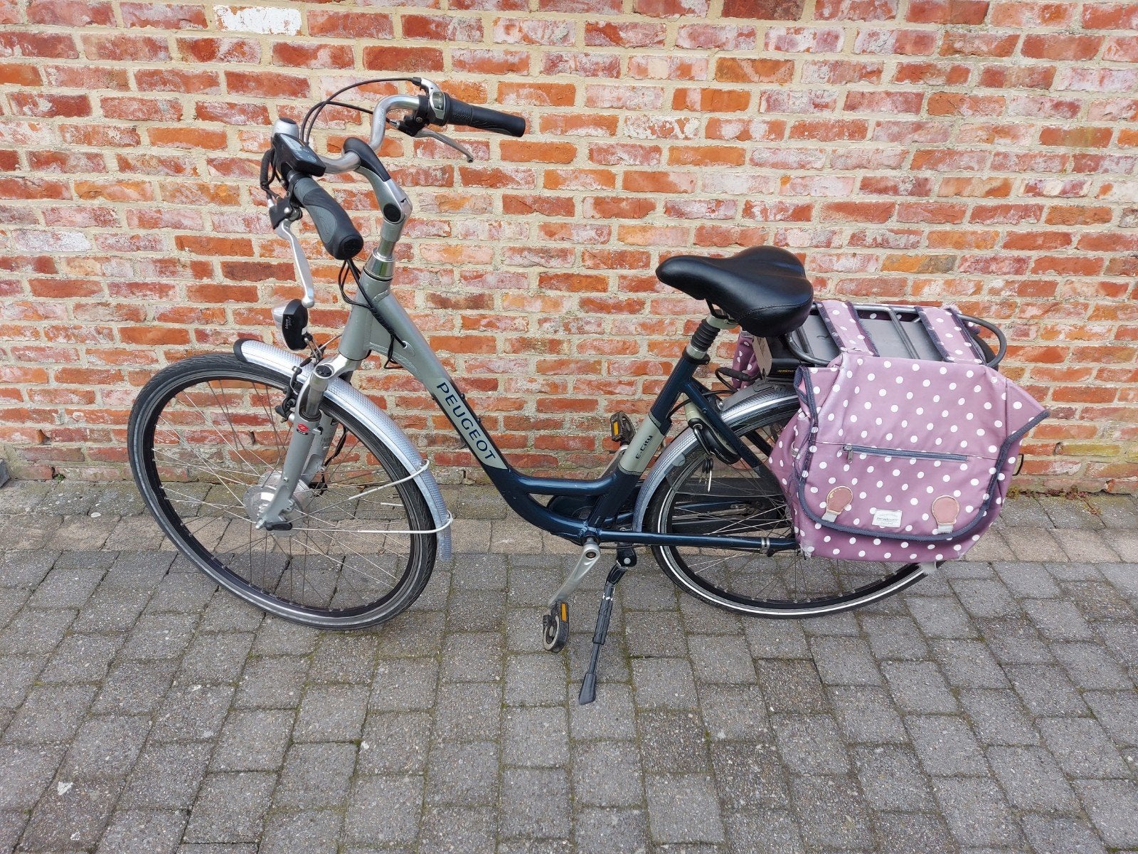 Elektrische damesfiets Peugeot, Ophalen