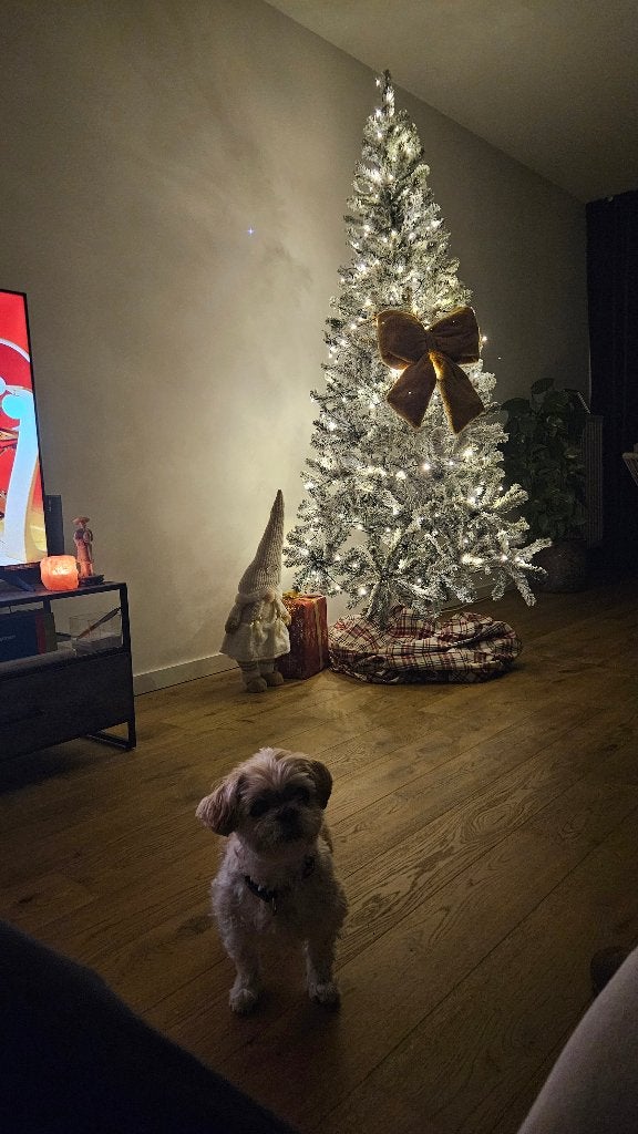 kerstboom Groen/wit 210cm, Diversen, Kerst, Ophalen, Zo goed als nieuw