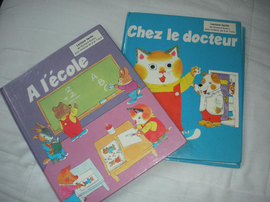 Livres (2) de lecture pour enfant 6/7 ans., Boeken, Kinderboeken | Kleuters, Zo goed als nieuw, Non-fictie, 5 of 6 jaar, Jongen of Meisje