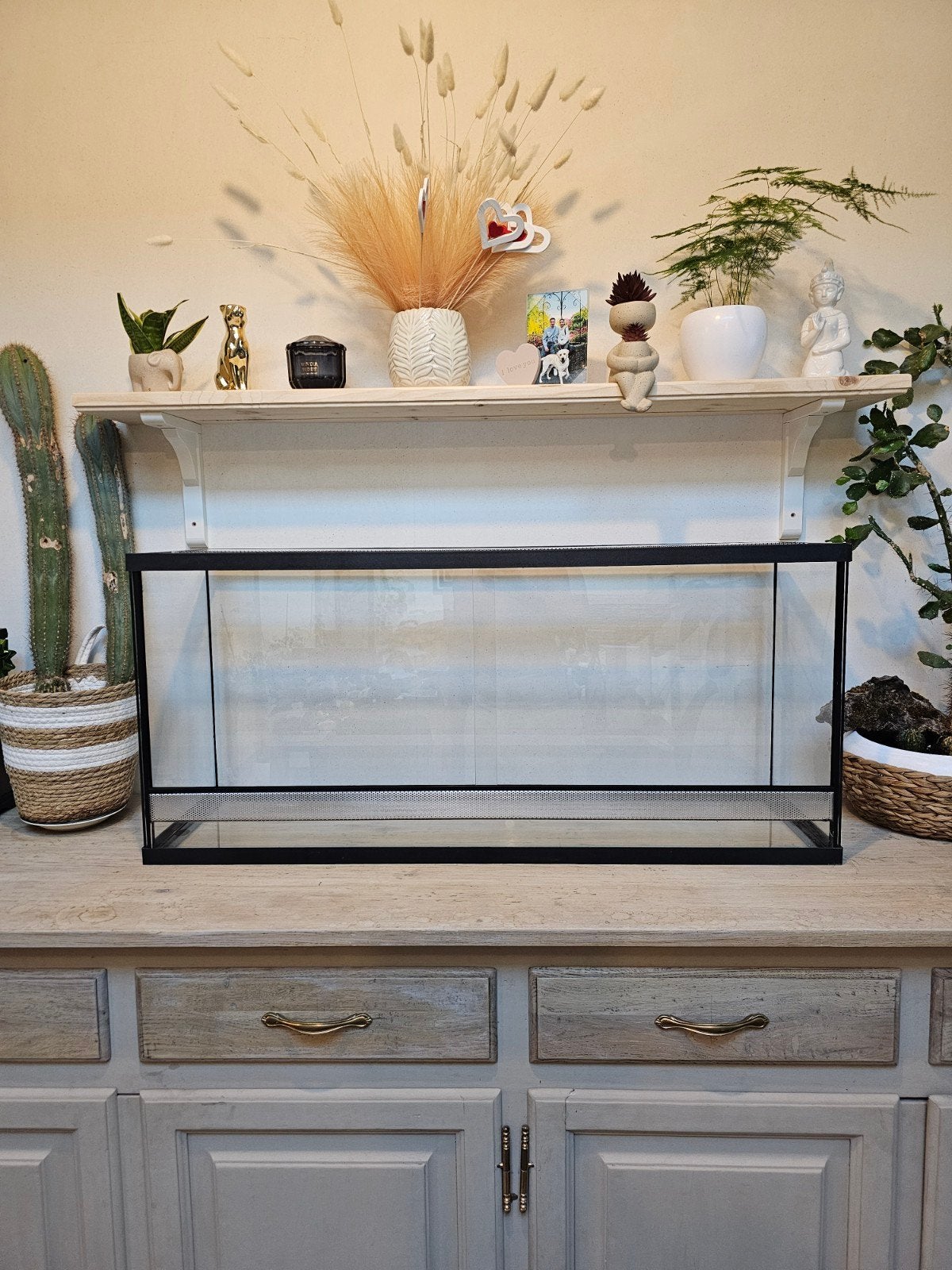 Grote glazen terrarium, Ophalen, Zo goed als nieuw, Terrarium of Paludarium