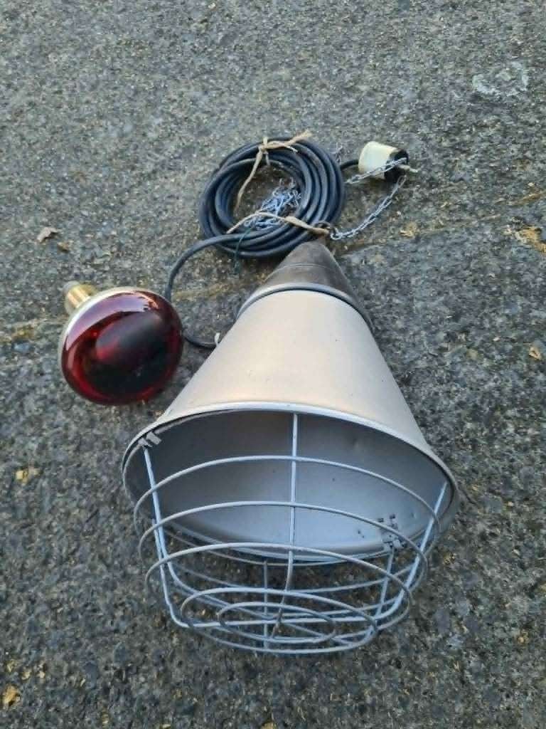 Lampe chauffante pour poussin, Animaux & Accessoires, Volatiles | Accessoires, Enlèvement, Utilisé, Autres types