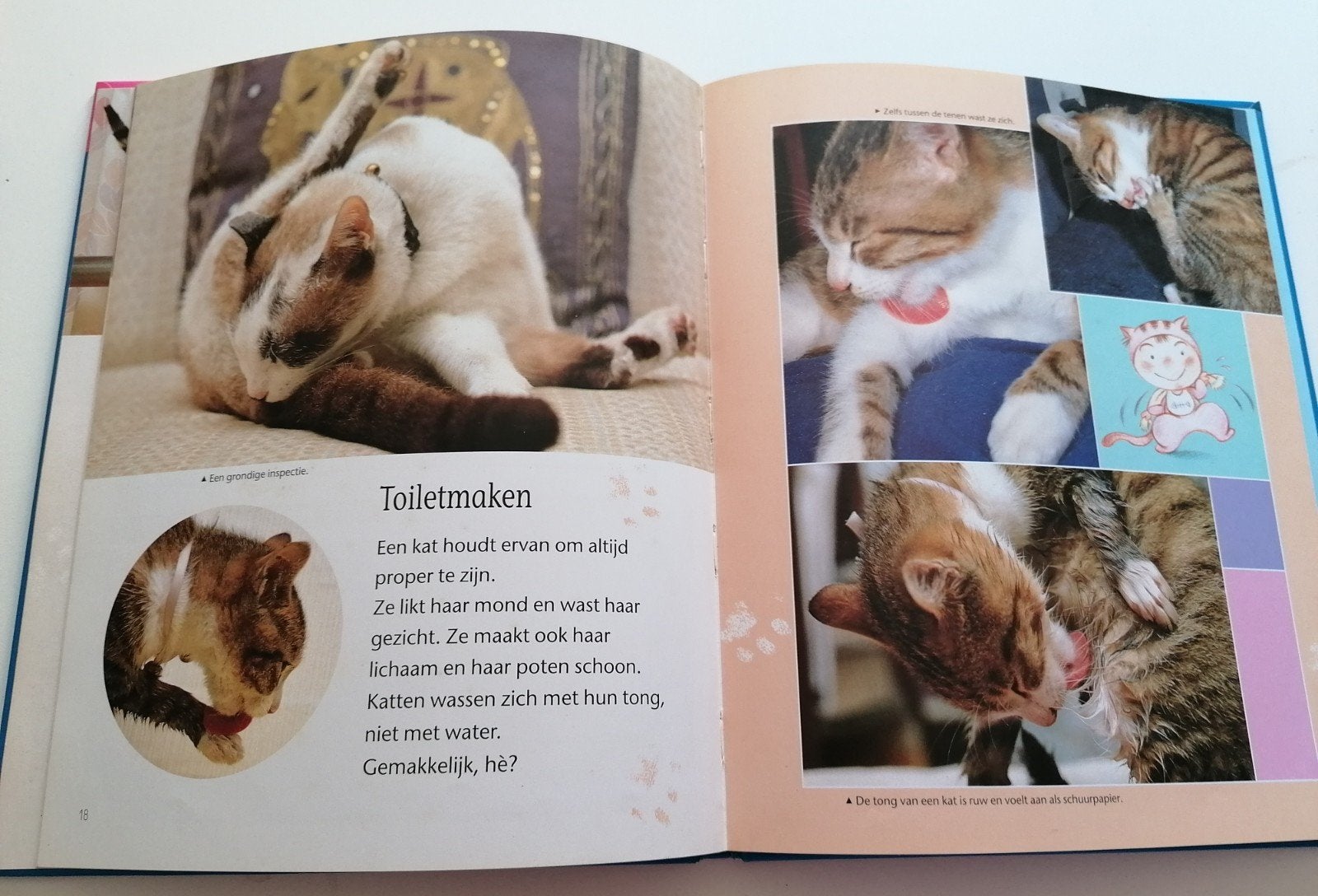 Her Chia-Fen - De kat, Ophalen of Verzenden, Her Chia-Fen