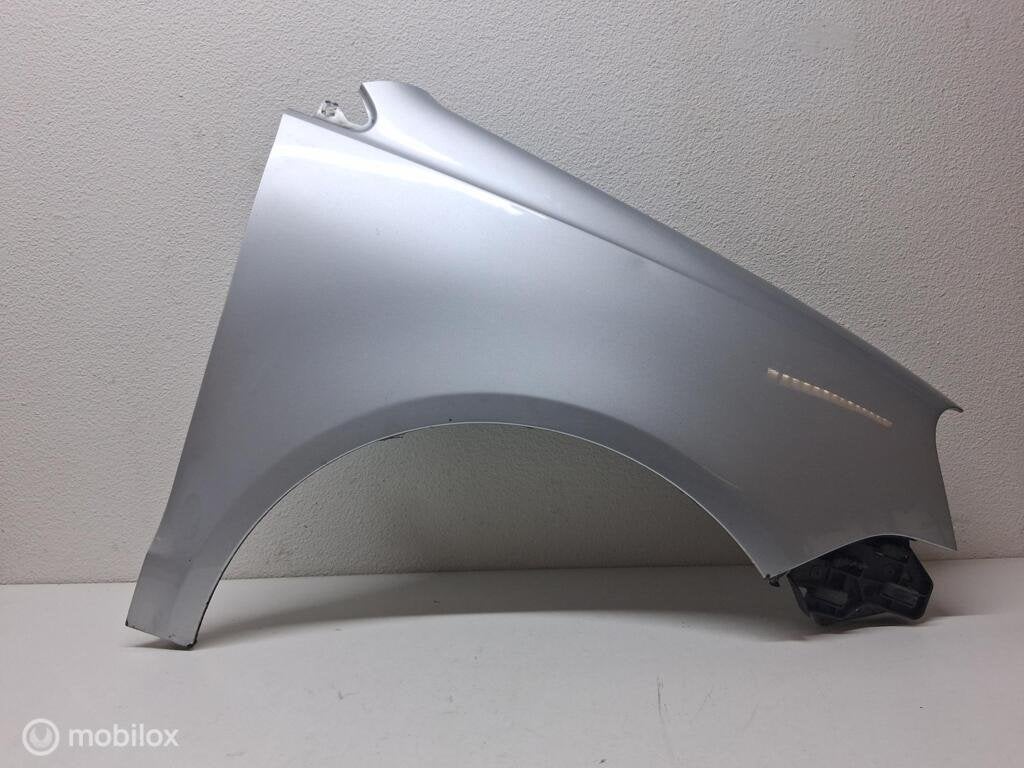 Zijscherm R la7w Vw polo 9n3 6Q0821106E, Enlèvement ou Envoi, Utilisé