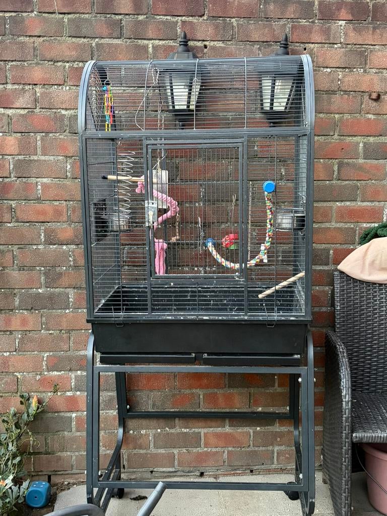 Cage à oiseaux, Enlèvement, Utilisé, Métal, Cage à oiseaux