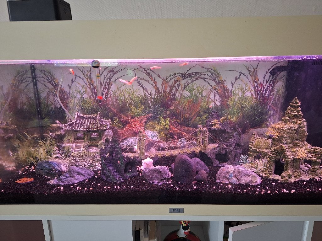 Aquarium 150L, Gebruikt, Leeg aquarium, Juwel, Ophalen