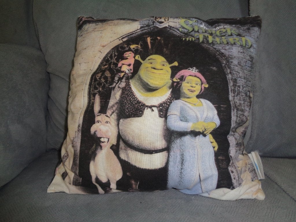 kussen Shrek, Kinderen en Baby's, Ophalen, Overige merken, Kleed of Kussen, Zo goed als nieuw