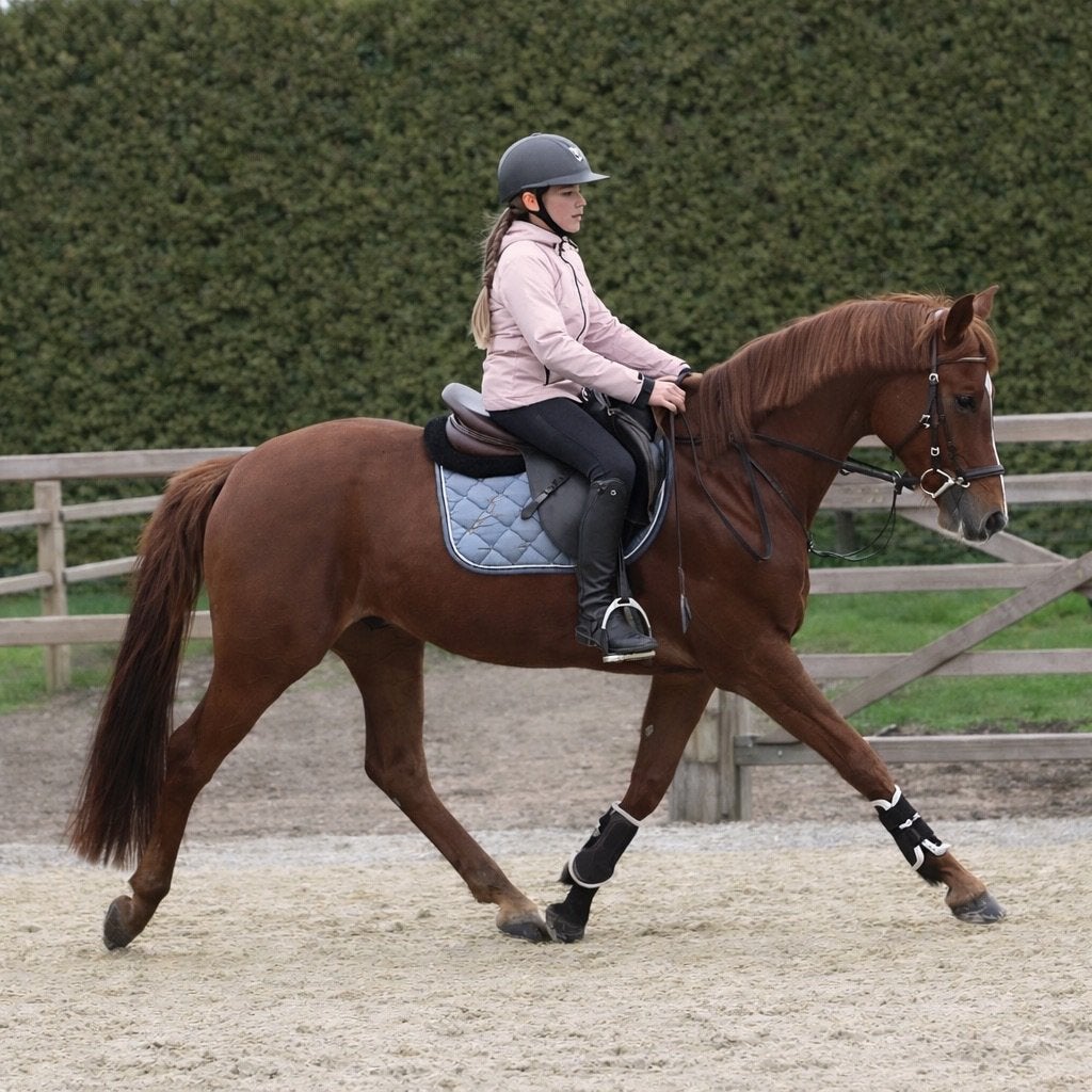 D pony ruin enorm kindvriendelijk/ getalenteerd, Met stamboom, B, Ruin, Dressuurpony