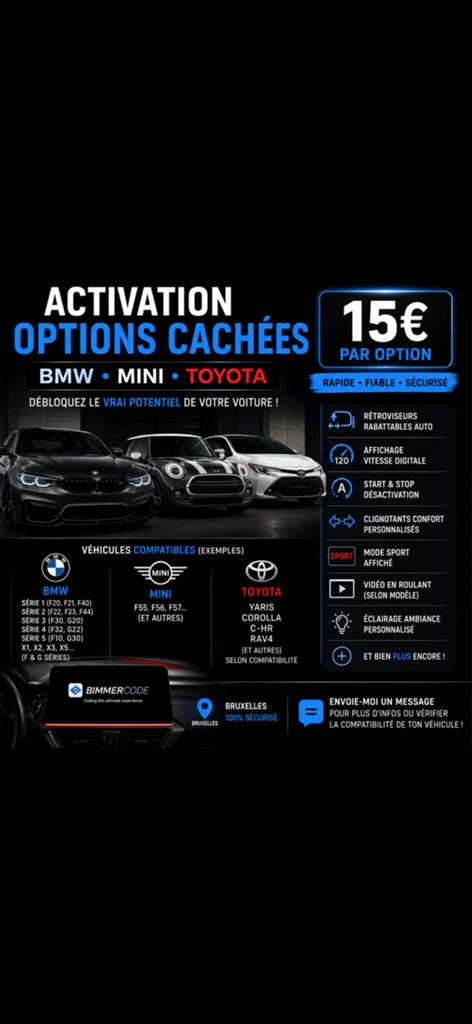 Activation options cachées–15€ /option !  BMW MINI TOYOTA, Autos : Pièces & Accessoires, Enlèvement, BMW