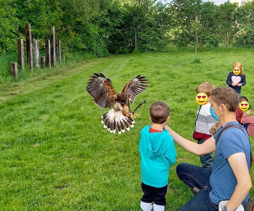 Anniversaire enfant avec rapace et animaux, Enfants & Bébés, Enfants & Bébés Autre, Neuf, Enlèvement