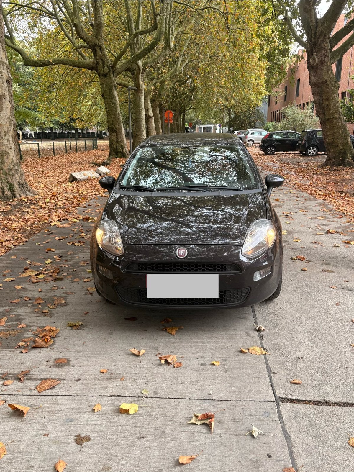 Fiat punto, Auto's, Euro 5, Zwart, Overige kleuren, Handgeschakeld