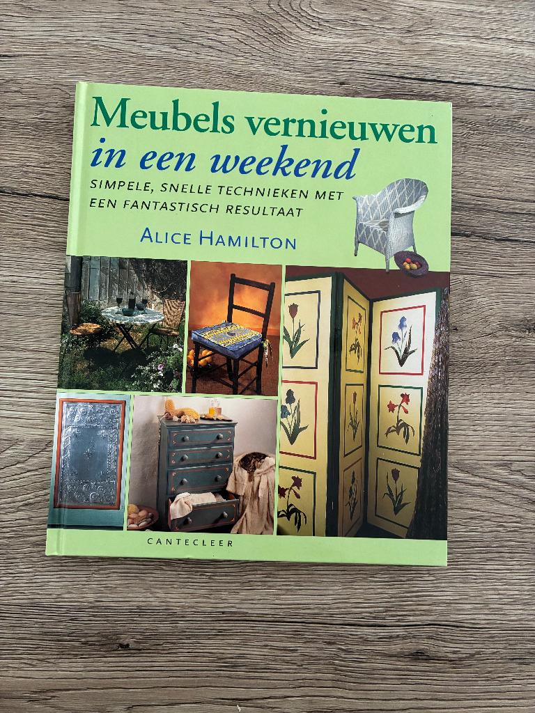 MEUBELS VERNIEUWEN, Boeken, Hobby en Vrije tijd, Ophalen of Verzenden, Nieuw, Houtbewerking