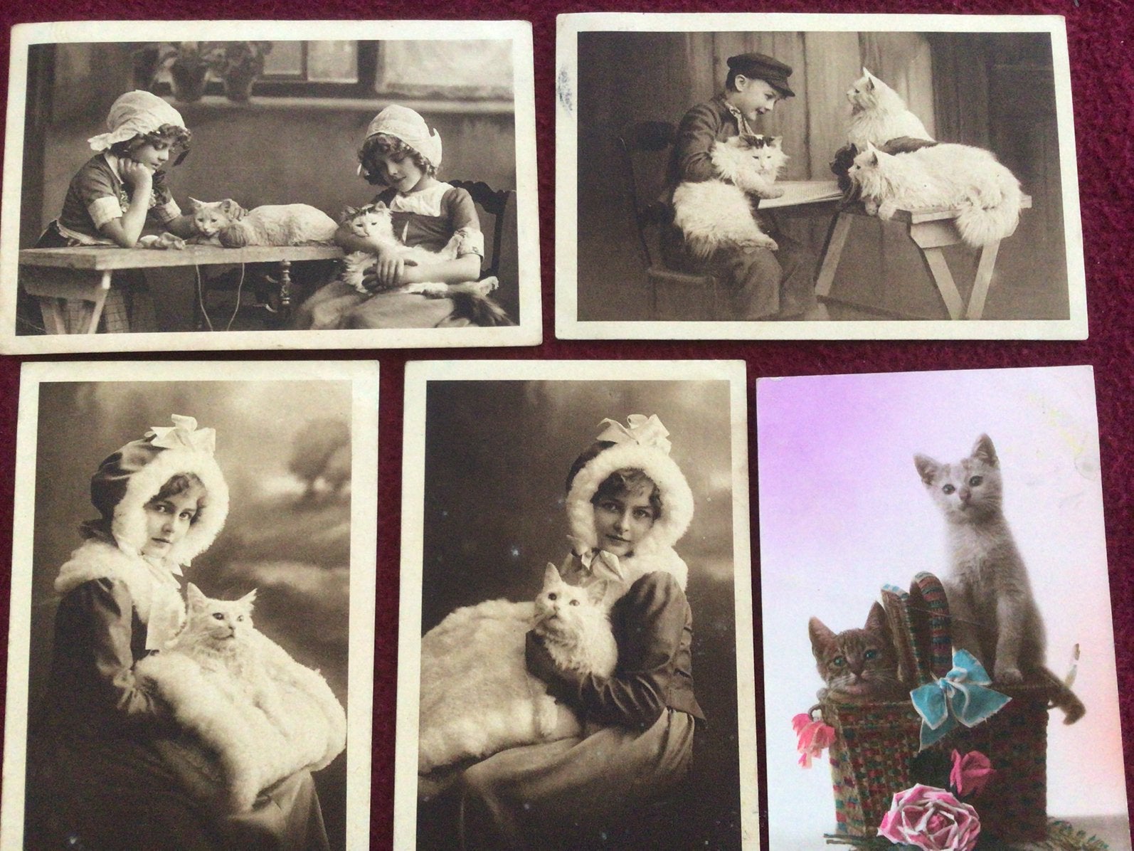 Postkaarten Katten en honden 14st, Verzamelen, Postkaarten | Dieren, Ophalen of Verzenden