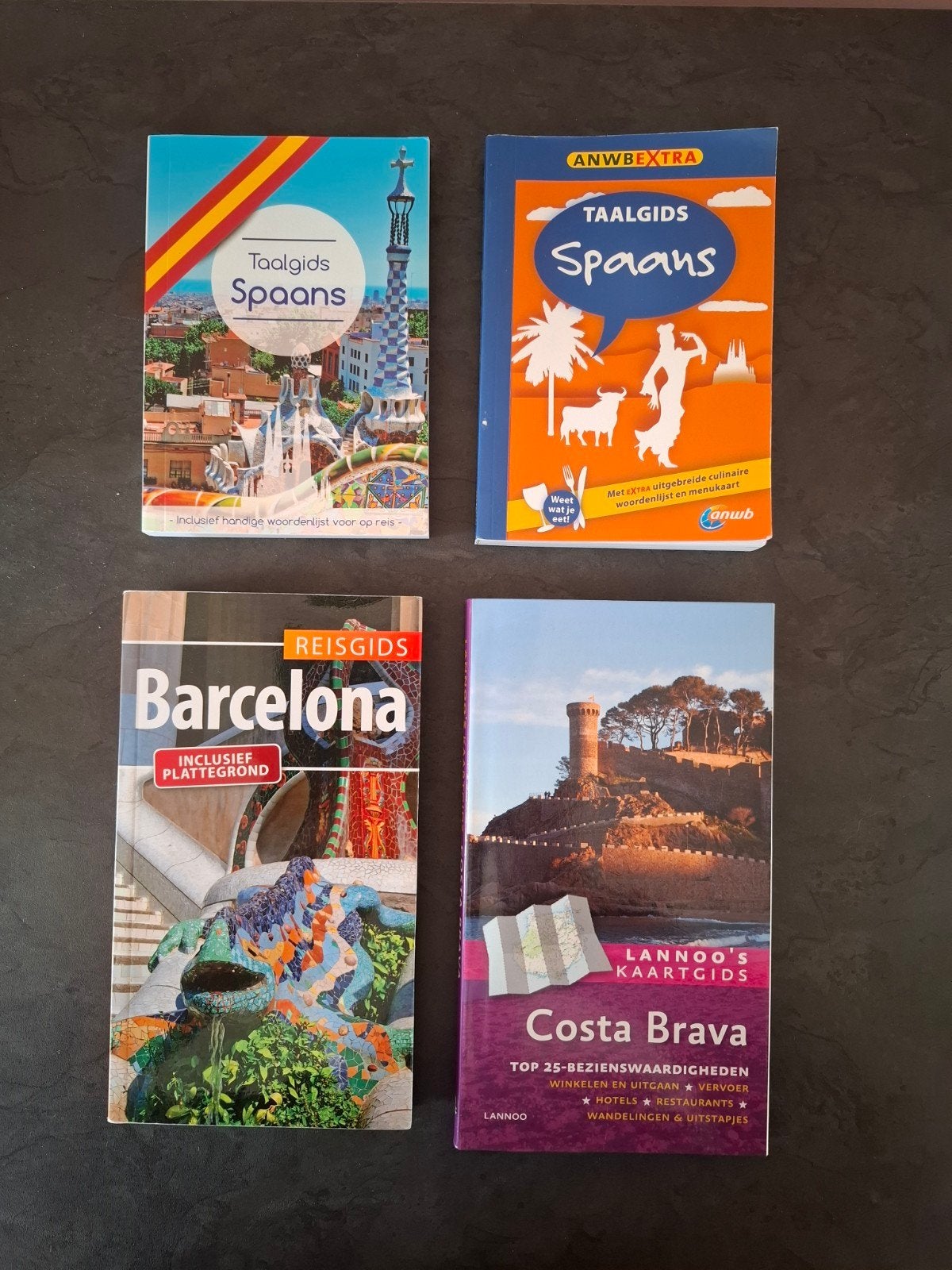 Reis- en taalgidsen, Boeken, Ophalen, Zo goed als nieuw, Europa, Taalgids