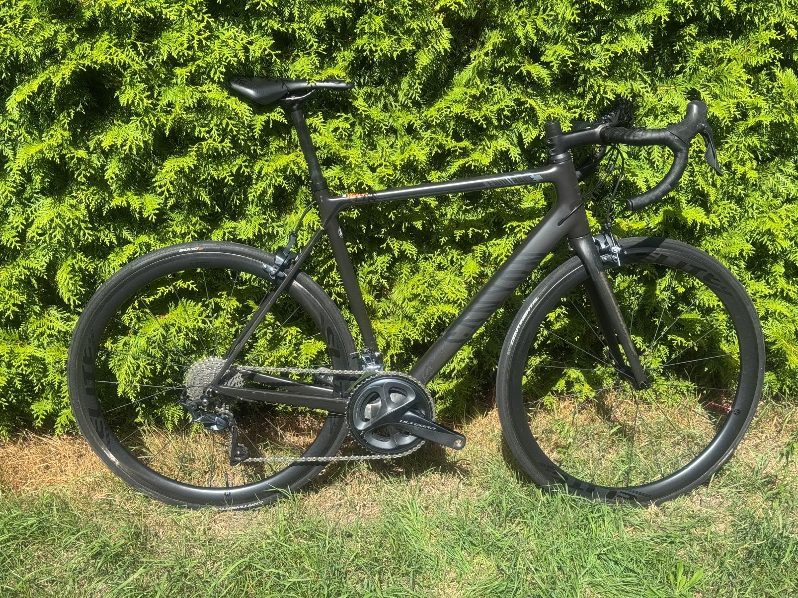 Canyon Endurace CF 8.0, Vélos & Vélomoteurs, Vélos | Vélos de course, Autres marques, Frein sur jante, 57 à 61 cm, Enlèvement
