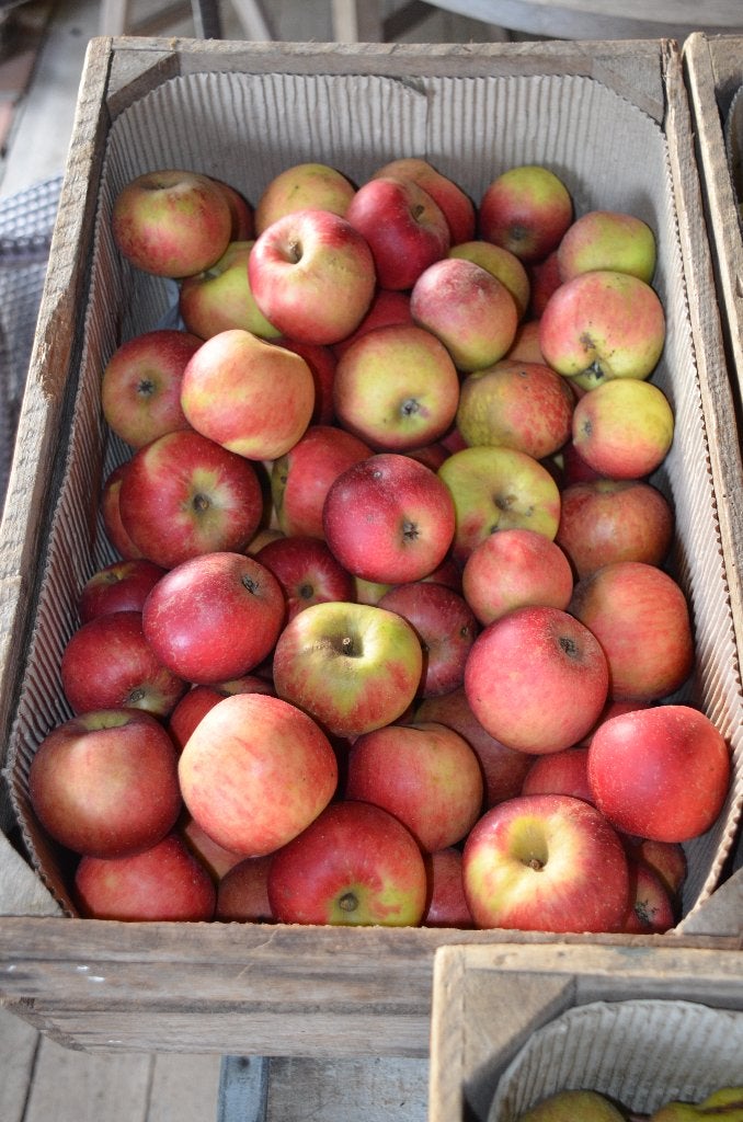 APPELS bio, Ophalen