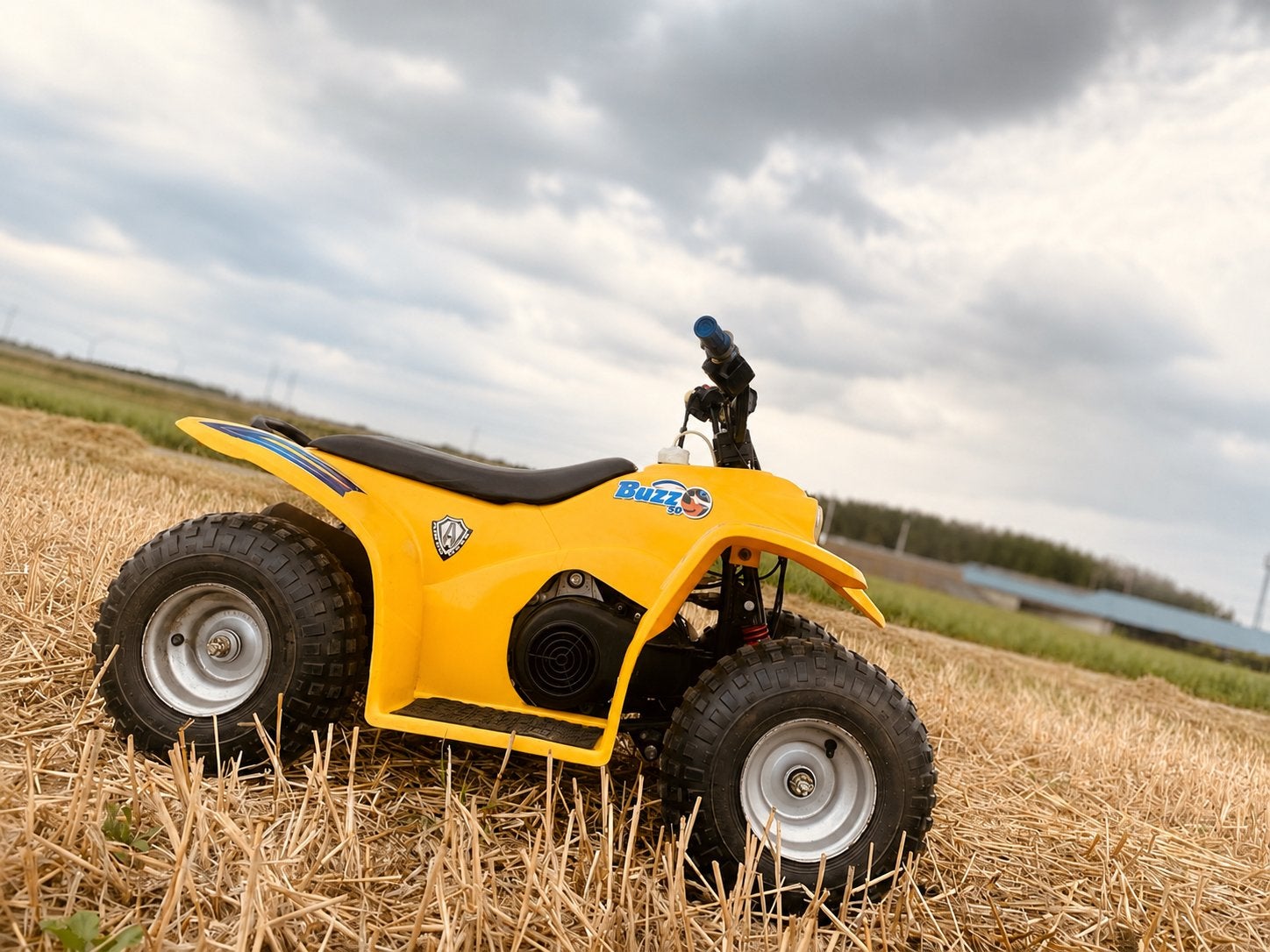 Quad Buzz enfant, Motoren, 1 cilinder, 50 cc, 11 kW of minder