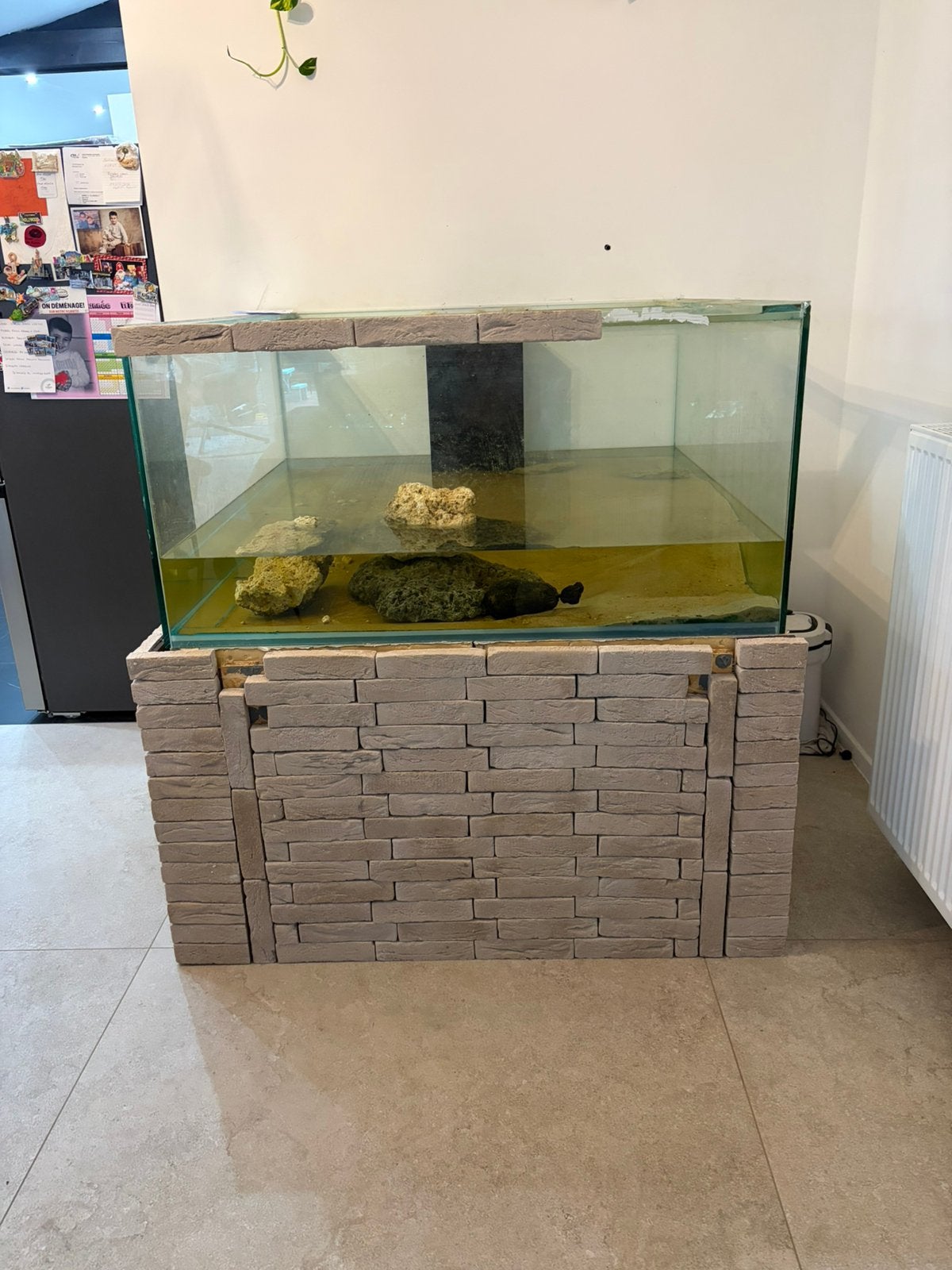 Aquarium 120x120x60, Enlèvement, Utilisé, Aquarium vide