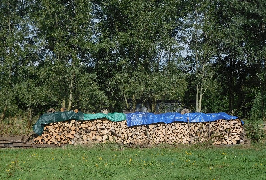 bois de chauffage, 6 m³ ou plus, Enlèvement, Autres essences de bois, Bûches
