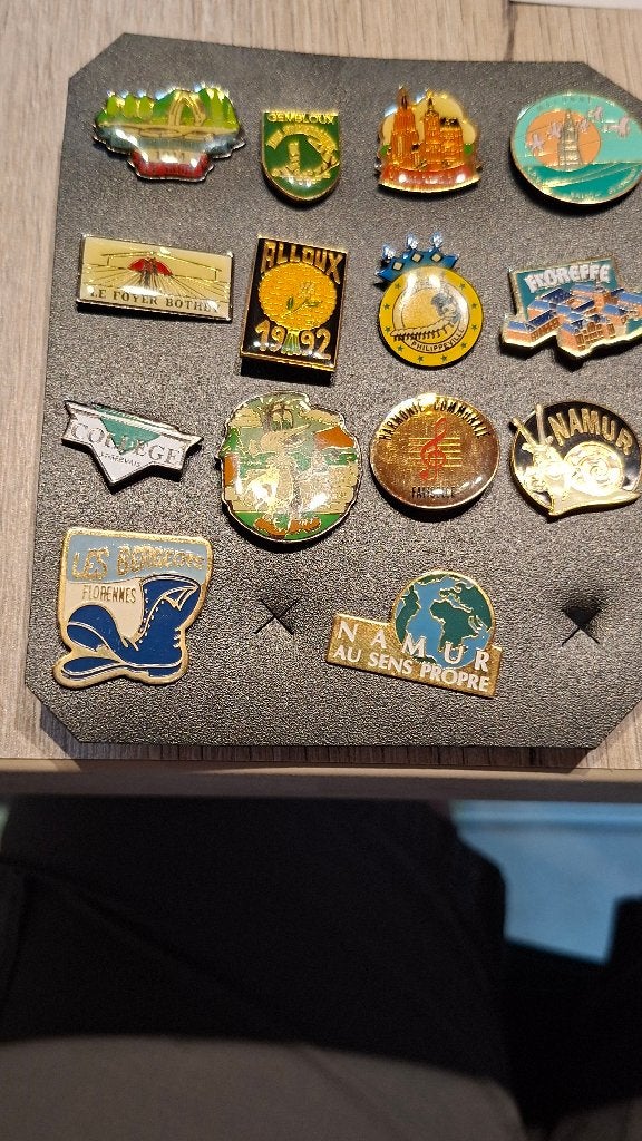 Pin's, Enlèvement ou Envoi, Neuf, Ville ou Campagne, Insigne ou Pin's