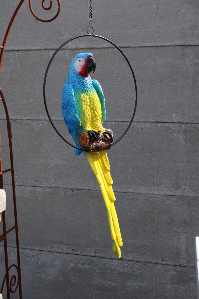 XL-papegaai in een hangcirkel., Ophalen, Nieuw