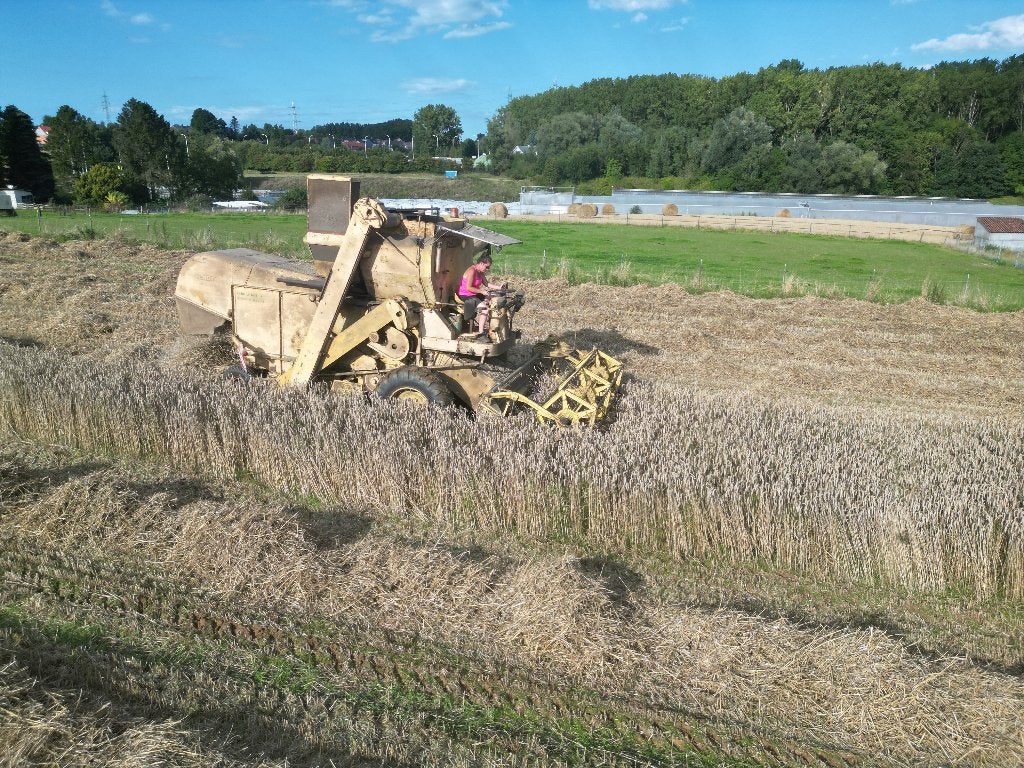 Clayson m 103, Ophalen, Akkerbouw, Oogstmachine