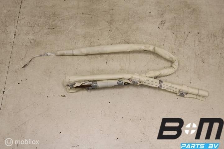 Hemel airbag rechts (bijrijderskant) VW Golf 5 Variant, Utilisé
