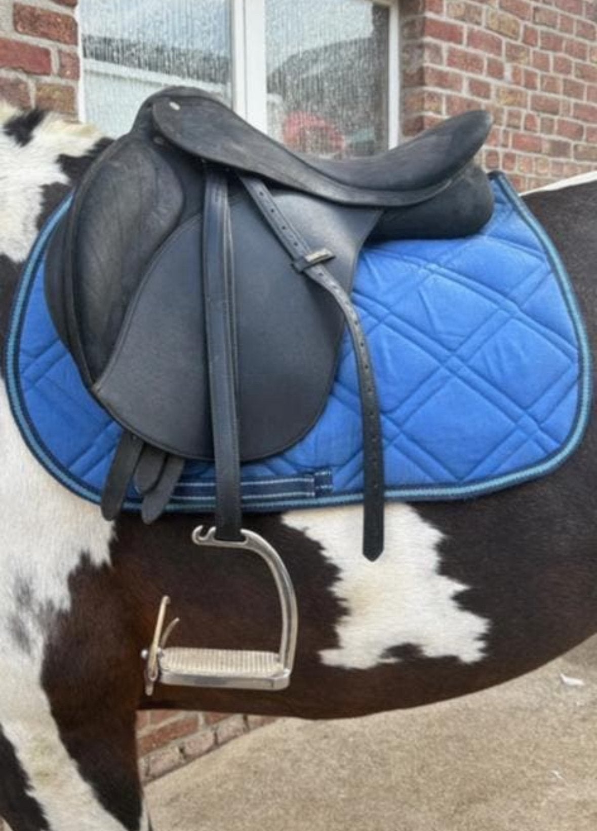 Wintec 200 17 inch, Animaux & Accessoires, Chevaux & Poneys | Selles, Arçon réglable, Wintec, Enlèvement, Utilisé